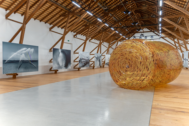 Installation view, Louisa Gagliardi &amp;amp; Adam Cruces, MERGERS AND ACQUISITIONS, Ferme-Asile, Sion, 2026
Photo: Adam Cruces