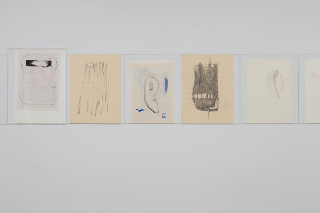 Installation view, Trisha Donnelly, Drawing Center, New York, 2025