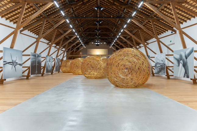 Installation view, Louisa Gagliardi &amp;amp; Adam Cruces, MERGERS AND ACQUISITIONS, Ferme-Asile, Sion, 2026
Photo: Adam Cruces