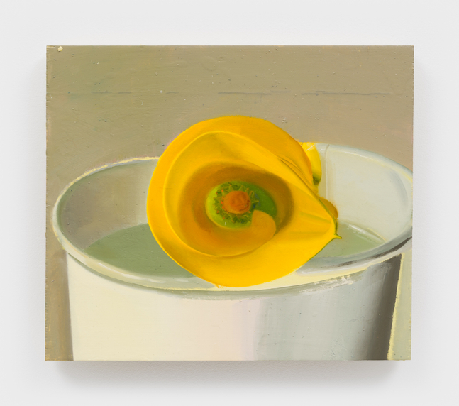 Phoebe Helander
Foreshortened Calla Lily, 2026
oil on wood
11 1/4 x 13 x 1 ins.
28.4 x 33 x 2.5 cm