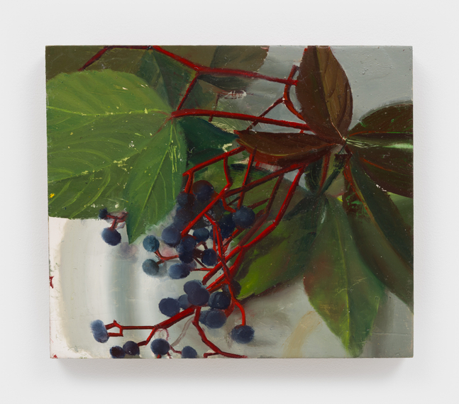 Phoebe Helander
False Virginia Creeper on Studio Table, 2026
oil on wood
11 1/8 x 13 ins.
28.3 x 33 cm