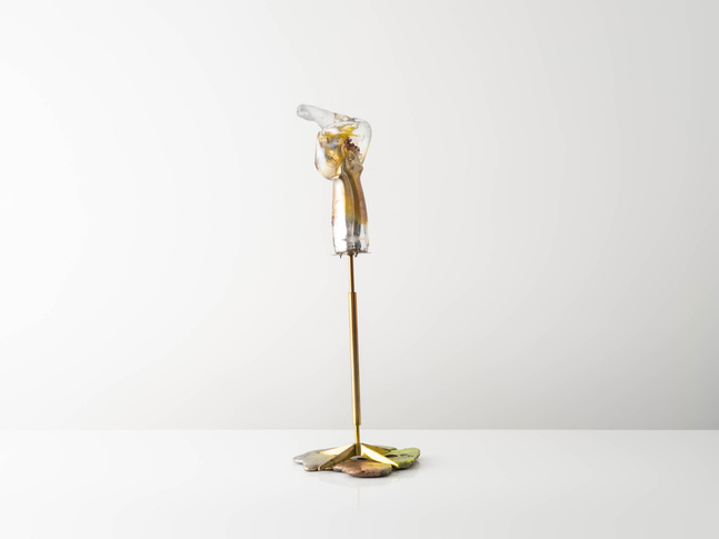 MARIA KOSHENKOVA

Dawn Enters with Little Feets, 2022

Blown and sculpted glass, silver amalgam, cast glass, cast aluminum with Prismatic coating, vintage lamp base

38.5&amp;quot; H x 14&amp;quot; W x 15&amp;quot; D
