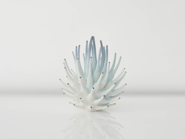EVA ZETHRAEUS

Small Pale Blue Calliandra with Platinum Details, 2025

Glazed porcelain, platinum

33&amp;quot; H x 27&amp;quot; Dia.