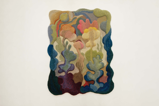 CAMILLA ILIEFSKI

Early Flowering, 2025

Hand-tufted tapestry in wool and linen

74&amp;quot; H x 56&amp;quot; W