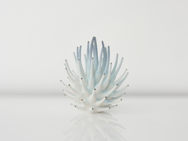EVA ZETHRAEUS

Pale Blue Calliandra with Platinum Details, 2025

Glazed porcelain, platinum

33&amp;quot; H x 27&amp;quot; Dia.