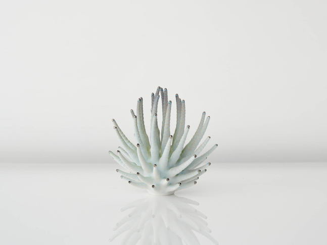 EVA ZETHRAEUS

Small Pale Green Calliandra with Platinum Details, 2025

Glazed porcelain, platinum

9&amp;quot; H x 9&amp;quot; Dia.