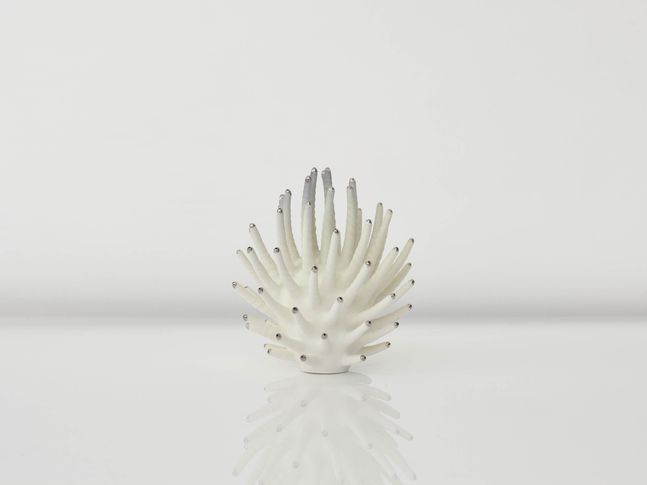 EVA ZETHRAEUS

Small Yellow Calliandra with Platinum Details, 2026

Glazed porcelain, platinum

9.5&amp;quot; H x 7.5&amp;quot; Dia.