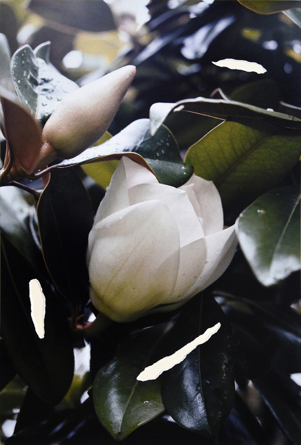 Constanza Piaggio
Sharp Memories, Cut #26, 2023
Pigment print, purple paper, signed verso
Unique&amp;nbsp;
11.9 x 17.7 in.