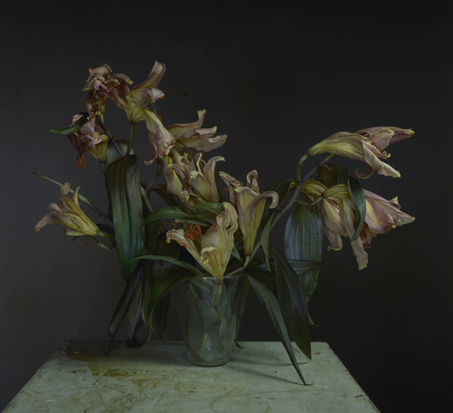 Tuesday, April 21, 7pm
Richard Learoyd in Conversation with Jonathan Binstock at Penumbra Foundation
Penumbra Foundation, 36 East 30 St, New York, NY 10016

&amp;nbsp;

Penumbra Foundation is pleased to invite AIPAD VIPs to a lecture with Richard Learoyd in conversation with Jonathan Binstock, part of Penumbra Foundation&amp;#39;s Artist Series.&amp;nbsp;

&amp;nbsp;

With an unparalleled passion for the medium and its materials, Richard Learoyd explores the limits of photographic expression in his large-scale color and black-and-white portraits, landscapes and still lifes. Using the antiquarian process of the camera obscura (from Latin for &amp;ldquo;dark room&amp;rdquo;), Learoyd&amp;#39;s color pictures are unique, direct-positive images produced without film negatives or digital technology. Learoyd&amp;rsquo;s large-format, black-and-white photographs likewise reference the medium&amp;rsquo;s heritage, employing the negative/positive process invented by William Henry Fox Talbot nearly two centuries ago. Up to 80 inches wide, they are among the largest gelatin silver contact prints ever made. Learoyd&amp;rsquo;s most recent body of work utilizes a new and transformative process of multiple impression printing layered with hand-coated gesso on canvas. These multi-dimensional works showcase the artist&amp;rsquo;s exploration of depth, texture, time, and the relationship between photography and materiality.

&amp;nbsp;

&amp;nbsp;

Event capacity: 75

&amp;nbsp;

RSVP:&amp;nbsp;rsvp@penumbrafoundation.org

&amp;nbsp;

Image: &amp;copy; Richard Learoyd / Pace Gallery