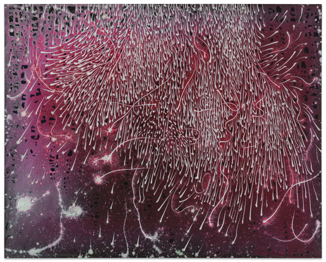 Barbara Takenaga Falling (black tracings), 2015 acrylic on wood panel 24 x 30 in.