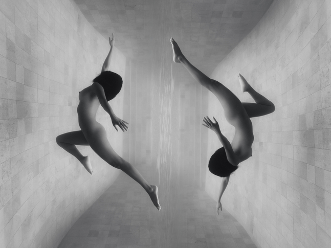 Phoebe Fitz, Discernment, 2025