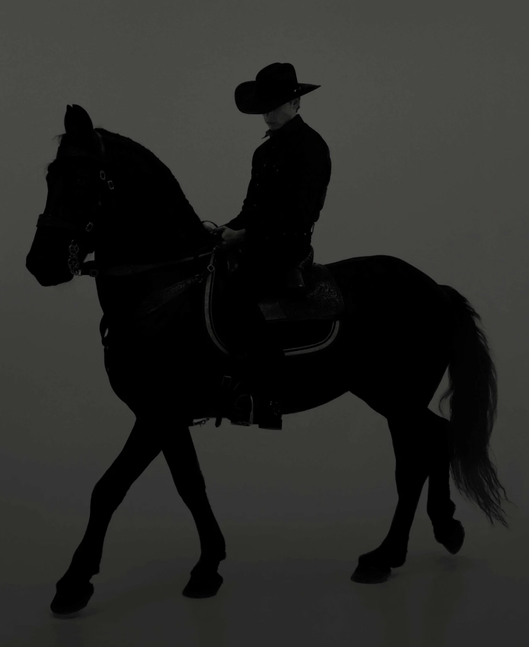 Dean West, Cade Silhouette #6, The Palms, 2024