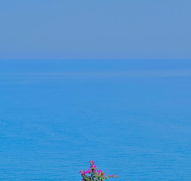 Christophe von Hohenberg, Untitled Color Series IV, 2024