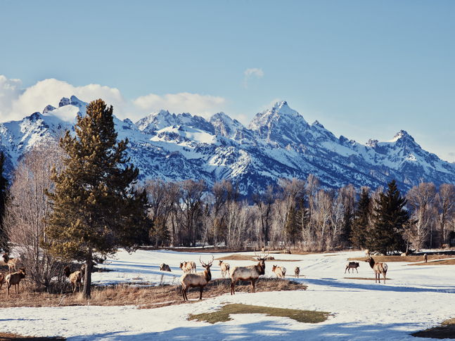 Nathan Coe   What 'Ya Looking At?, 2025