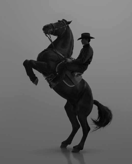 Dean West  Cade Silhouette # 2, The Palms, 2022