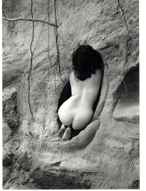 Debranne Cingari, The Womb, 2000