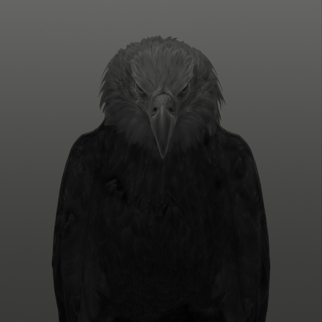 Dean West  Bald Eagle # 1, American West, 2025