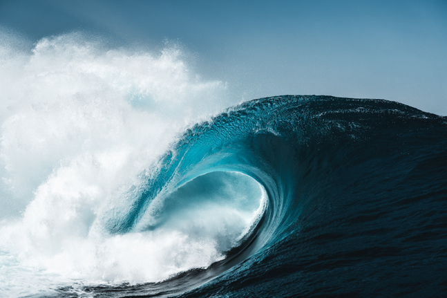 Jerome Brouillet, Portal, 2022