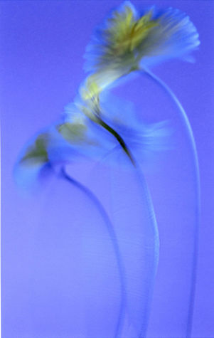 Dervish of May 18, 2007