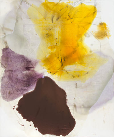 Dirk De Bruycker, Pale Morpho, 2011