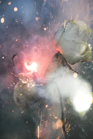 Wars of the Roses 68, 2016