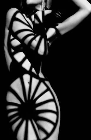 Greg Lotus, Wagon Wheel, 2005