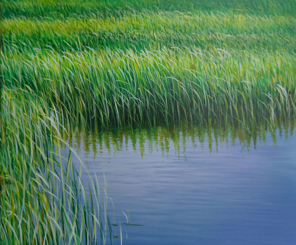 Manuel Cancel, Everglades X, 2011