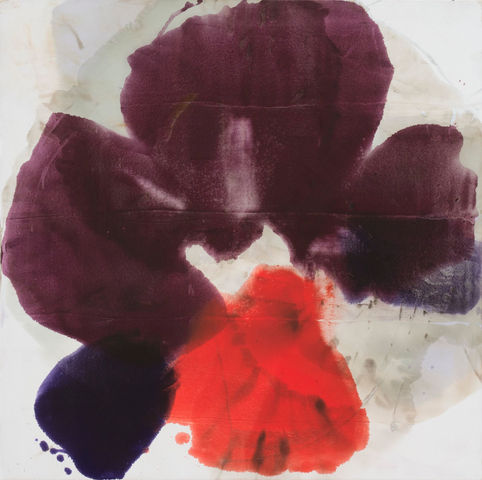 Dirk De Bruycker, Sea Flower III, 2014