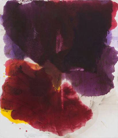 Dirk De Bruycker, Assembly, 2014