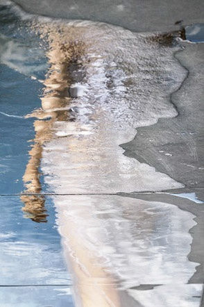 Barbara Cole, Retreat, 2014 - 2015