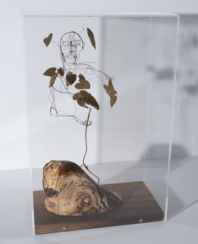 Hidden in Nature, 2025