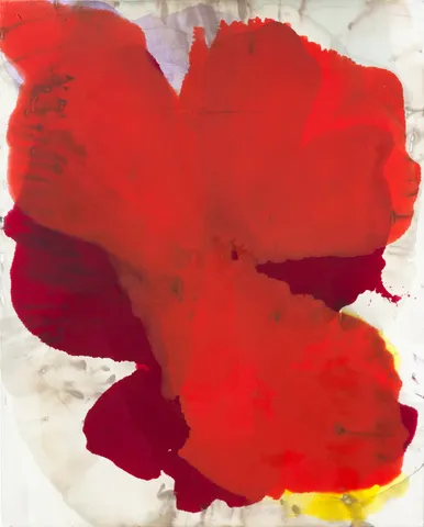 Dirk De bruycker, Iolas, 2014