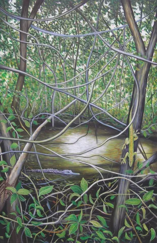 Manuel Cancel, Manglar