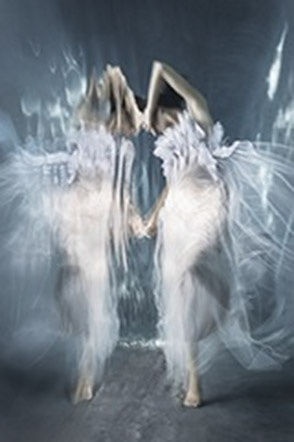 Barbara Cole, Echo, 2013