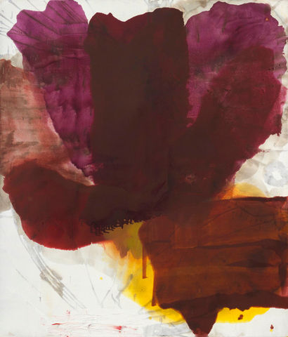 Dirk De Bruycker, Emperor, 2014