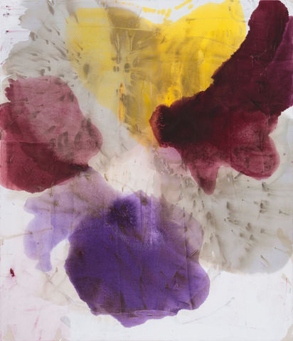 Dirk De Bruycker, Pentas, 2014