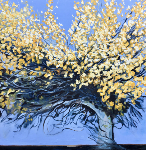 Sophie Berger, Power Within