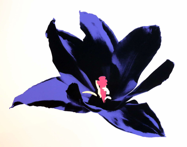 Anne Gournay, Just Because I Like Them so Much, Purple and Pink