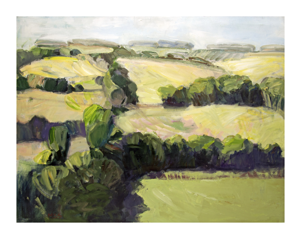 Minnie Shaw Stewart, Wessex Downs