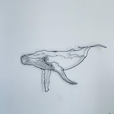 Ben Baker, Humpback Whale