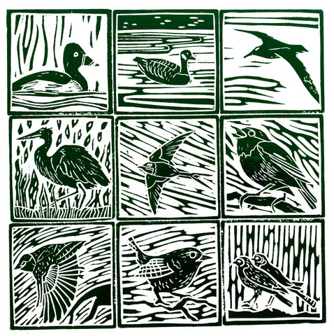 Angela Annesley, Birds