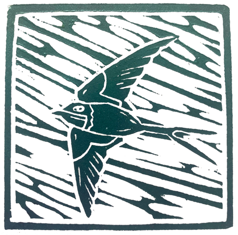 Angela Annesley, Swallow