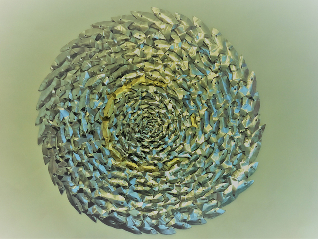 James Eddy, Circle Shoal, Gold Line