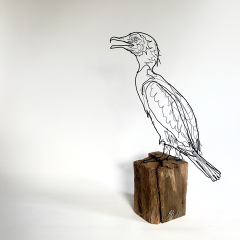 Ben Baker, Cormorant