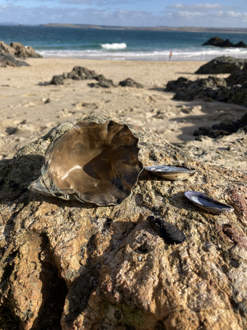 Sian McGill, Towards Enlli