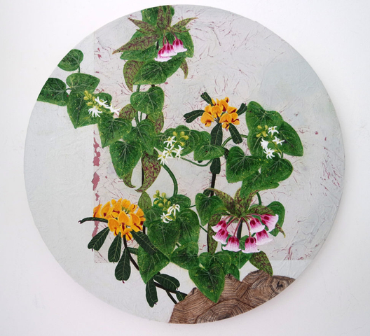 Jessica Holmes, Perpetual Spring, Heart-leaved Poison