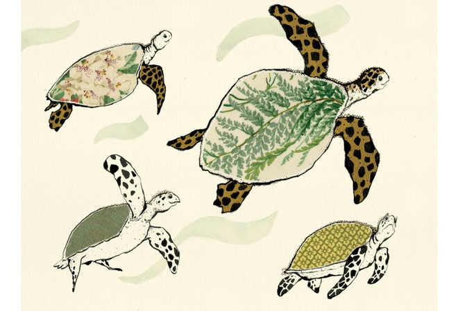 Anna Wright, Splish Splosh