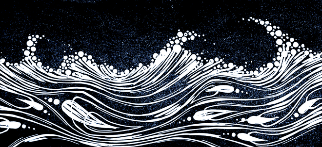 Angela Annesley, White Horses