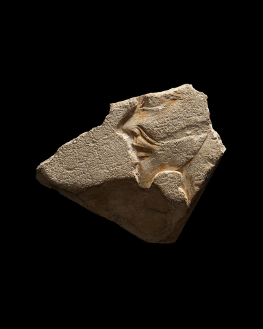 Egyptian relief fragment of a Libyan, New Kingdom, likely 19th Dynasty, c.1292-1189 BC