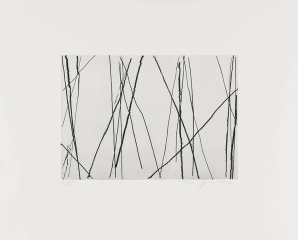 谭平 Tan Ping , 无题 Untitled, 2014